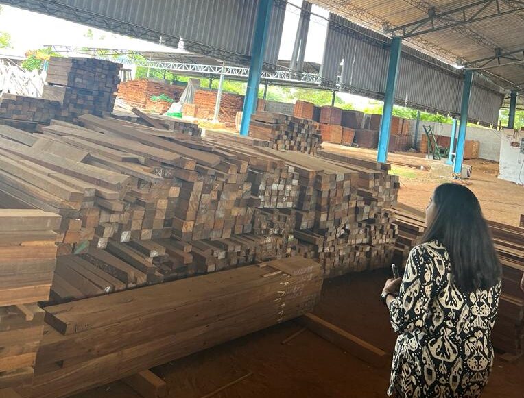 Timber Market